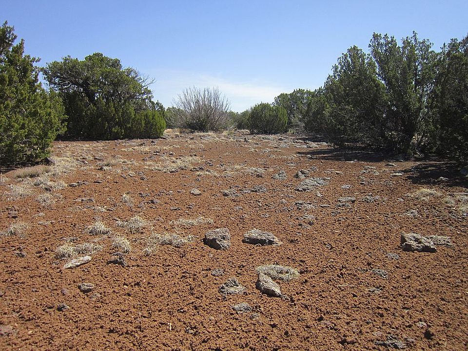 Fertile soil and pinions.