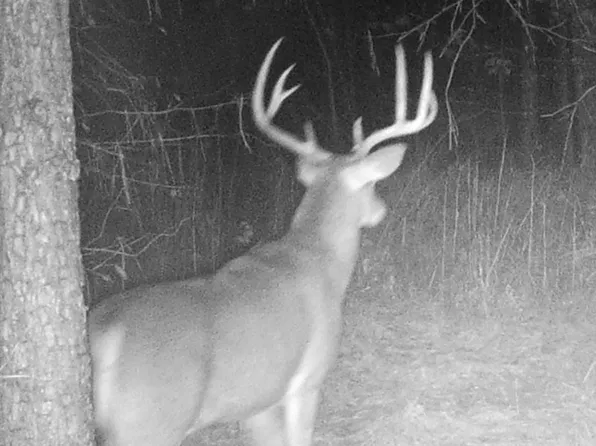 0 State Route 810 N Lot Wp002, Kuttawa, KY 42055