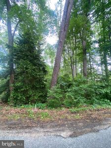 Dry Bridge Rd, Ruther Glen, VA, 22546