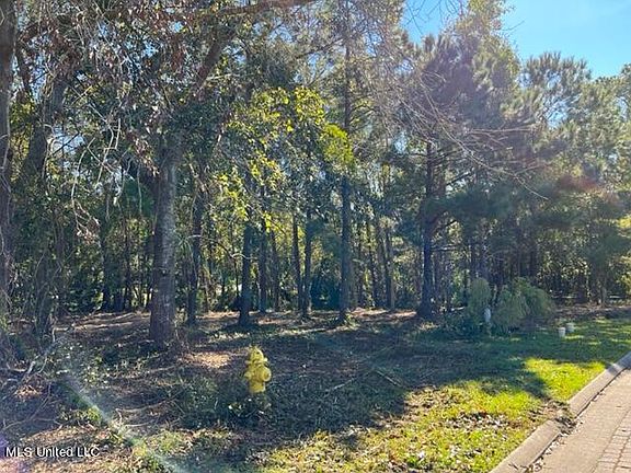 4th image of LOT 34 Destiny Plantation Blvd Lot 34