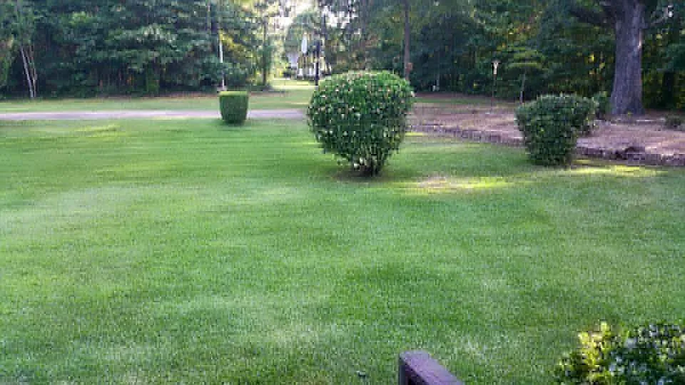 1620 Comer Ave photo 1