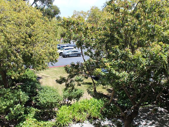 5th image of 1061 Beach Park Blvd APT 209