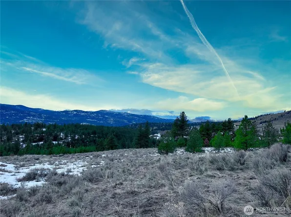 1111 TBD White Tail Lane, Tonasket, WA 98855