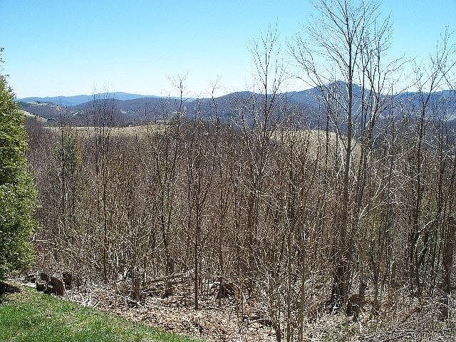 1st image of Lot 6 Deer Creek Falls Drive