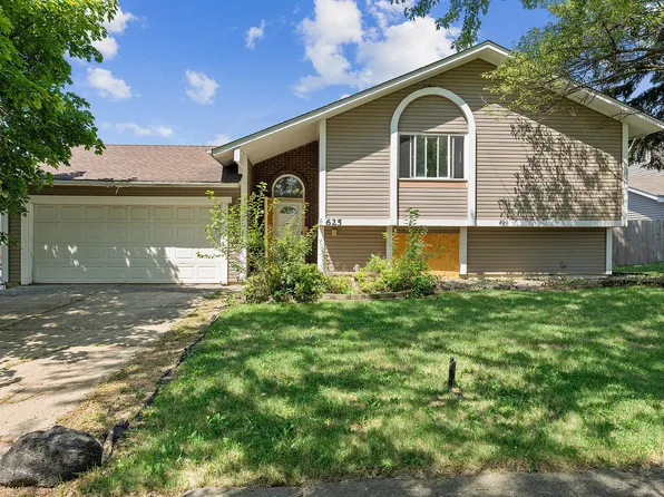 625 Old Forge Ln, University Park, IL 60484