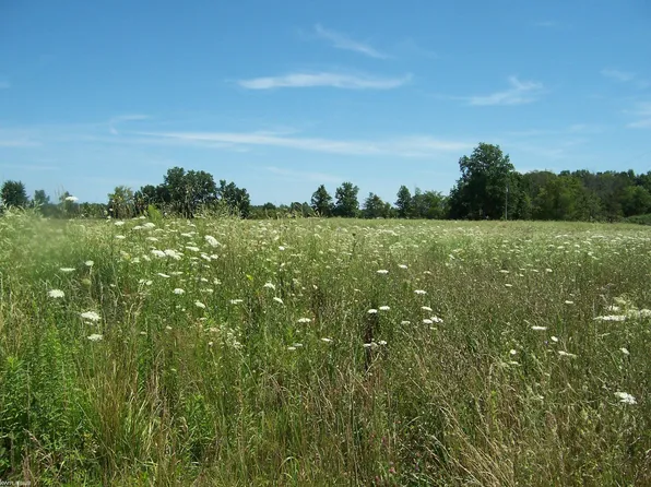 LOT Calvin Rd #D, Memphis, MI 48041