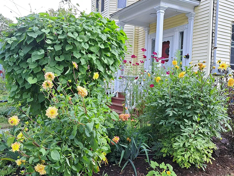 72 Grove St — Photo 21