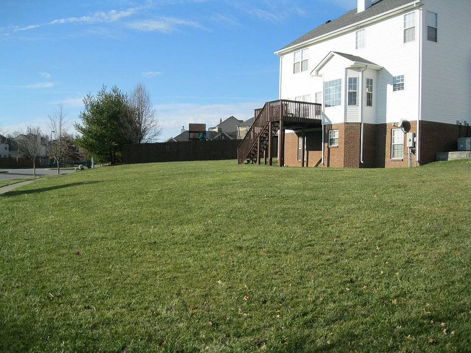 Very large back yard