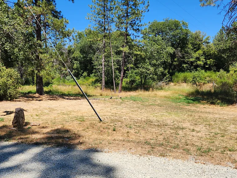 25563 State Highway 49 — Photo 11
