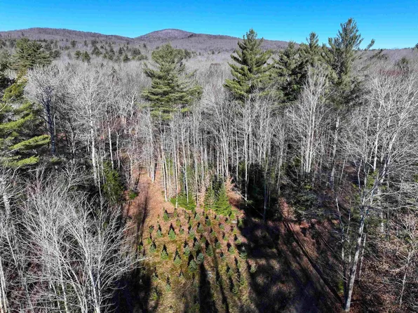 TBD Selden Mill Road Lots 1 and 3, Ripton, VT 05766