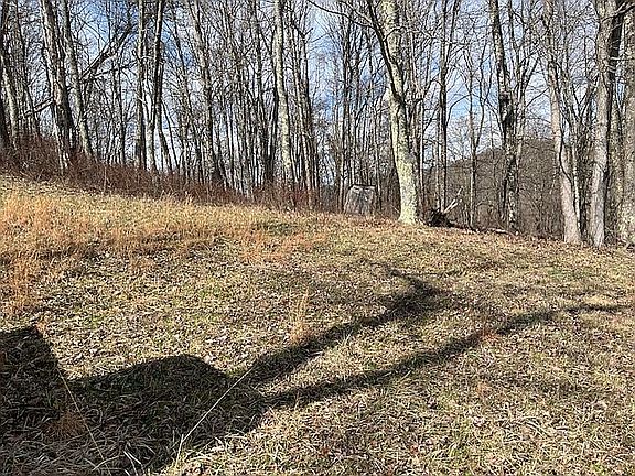 4th image of 81 Bub Park Rd