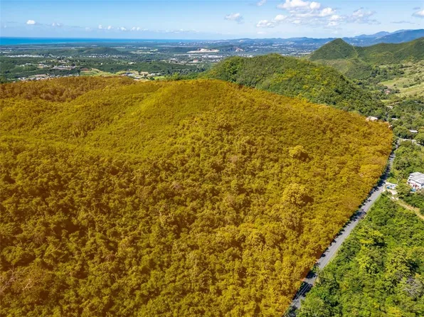 Bo Tijeras, Juana Diaz, PR 00795