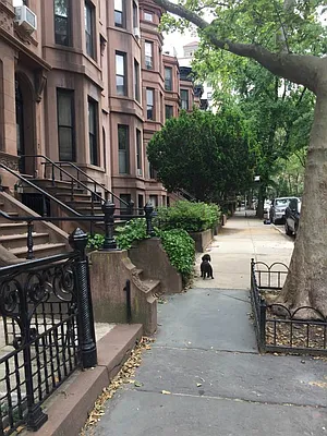 Rented by Brown Harris Stevens | media 14