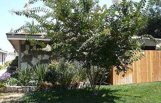 12432 Groveview Street