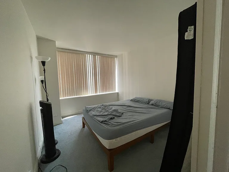233 E Erie St #2309 — Photo 17