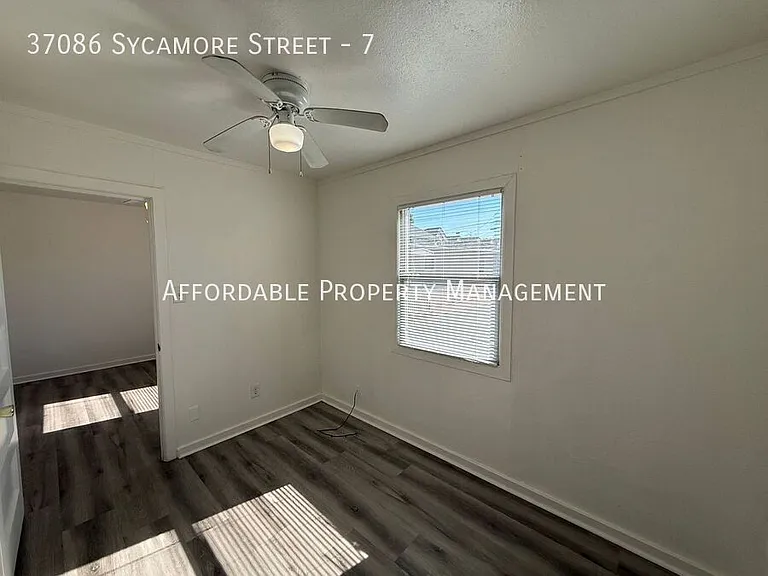 37086 Sycamore St #7 — Photo 10