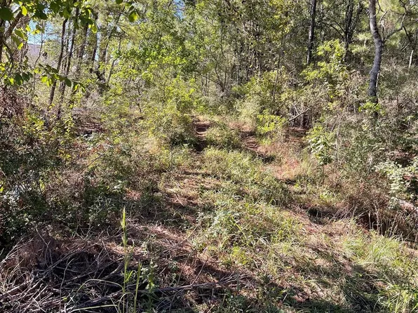 0 Fm 2090 Rd, Splendora, TX 77372