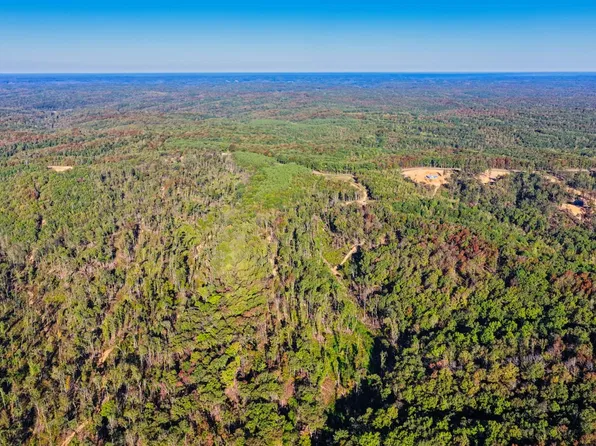 0 Highway 438 Lot 1, Centerville, TN 37033