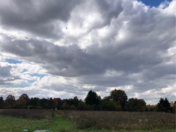Lost Elm Rd, Oberlin, OH 44074