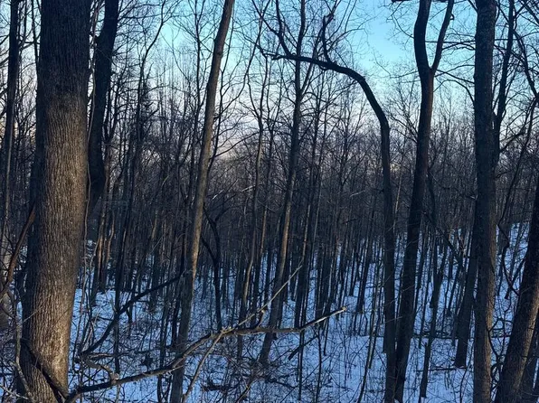 1611 Summit Dr, Haymarket, VA 20169