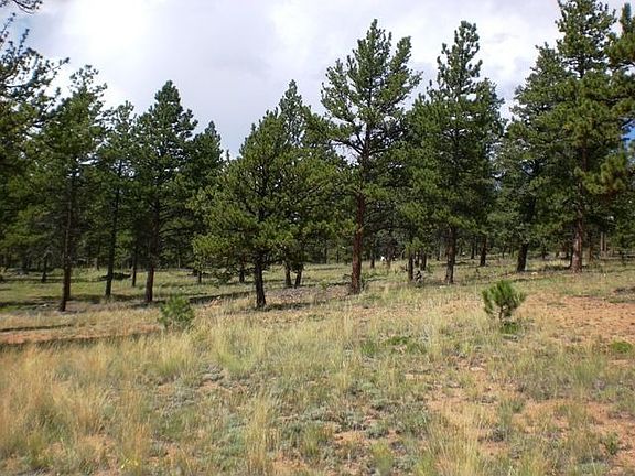 10+ Acres 100% Usable