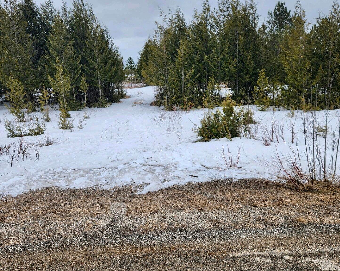 Brevort Lake Rd, Moran, MI 49760 Zillow