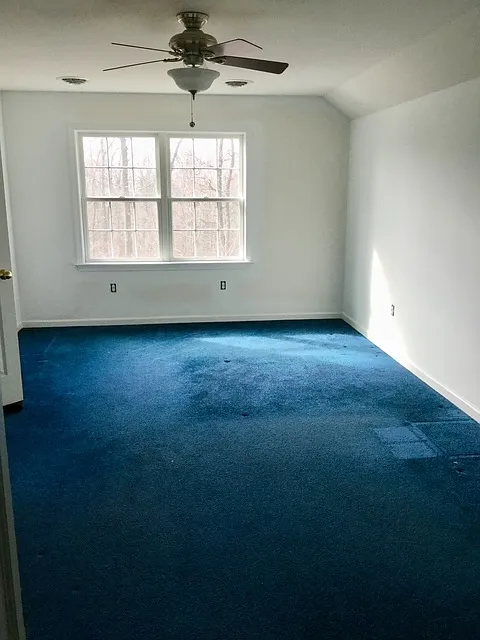 1 bed, 5000 sqft, $1,000 — Photo 2