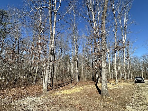 3rd image of 222 Sunset Bluff Way Lot 25