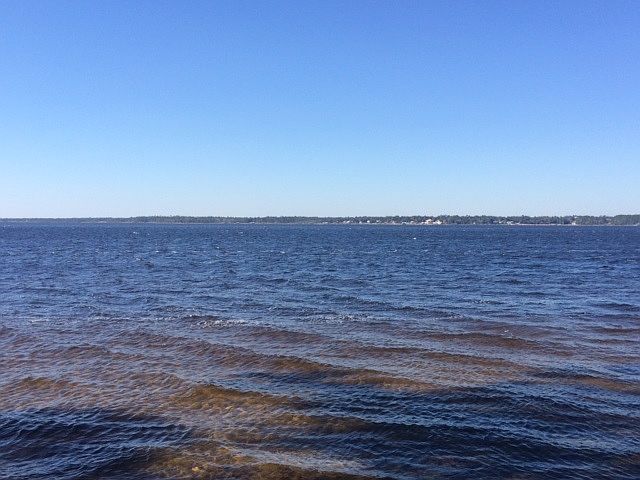 2nd image of 1101 Perdido Manor Dr