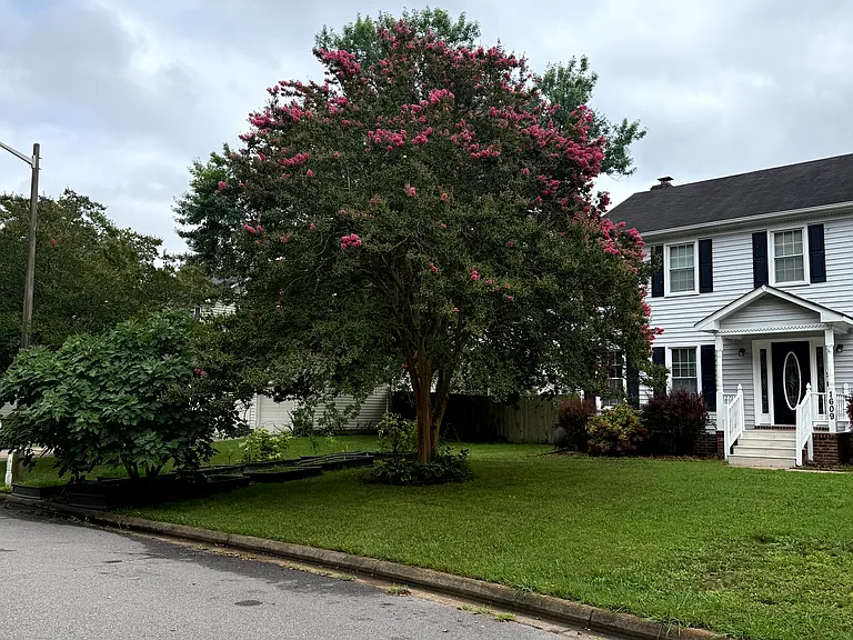 1609 Emmerton Ct — Photo 3