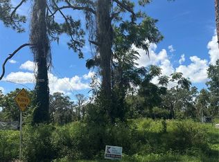 257 Moon Glow City In The Est #OF, Lake Placid, FL 33852