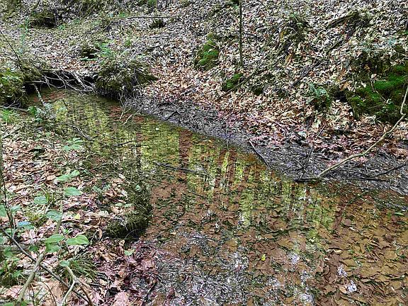 21st image of this home