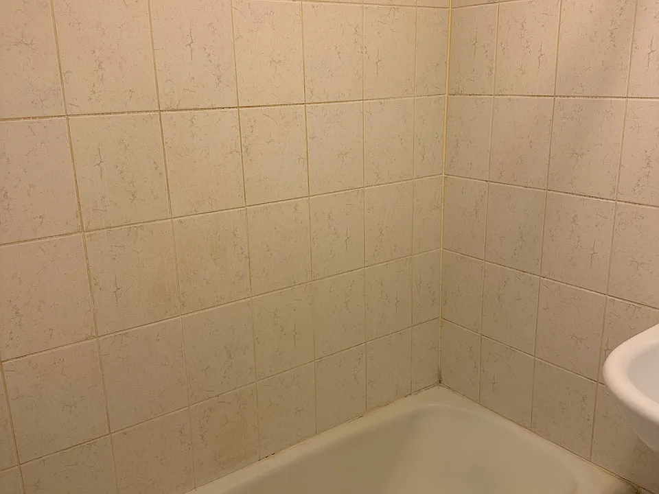 shower/tub