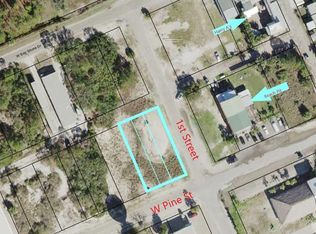 101 W Pine Ave, Saint George Island, FL 32328