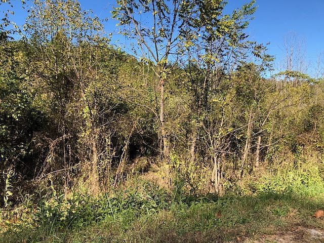 1st image of 12 Mooresburg Springs Rd