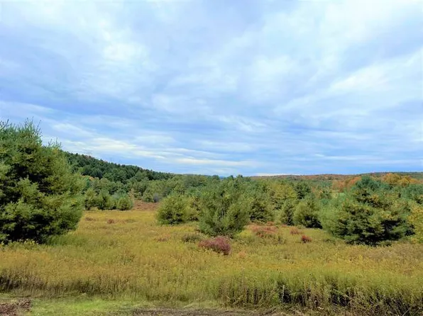 1.4 County Route 12 #4, Laurens, NY 13796