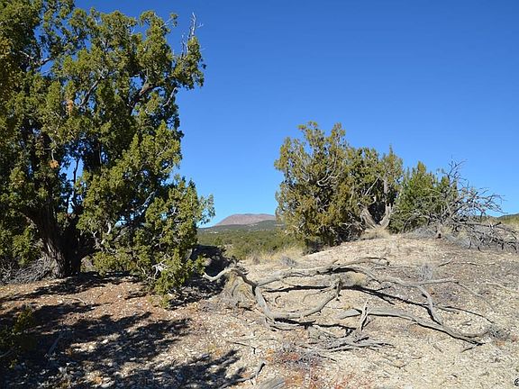 4th image of 832 Pecos Poin #57
