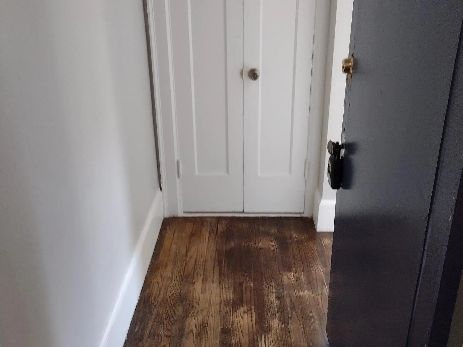 Studio, 375 sqft, $1,100 — Photo 4