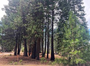 332 Osprey Loop #4, Chester, CA 96020