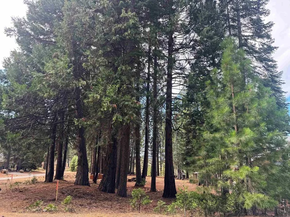 332 Osprey Loop #4, Chester, CA 96020