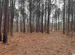 6971 Sellers Rd, Dora, AL 35062