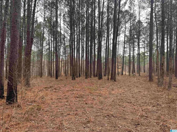 6971 Sellers Rd, Dora, AL 35062