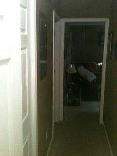 Main Hallway from LR to BDs