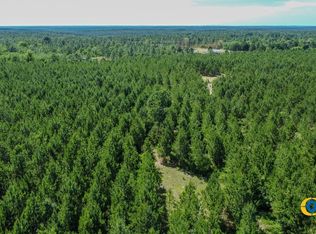 Montgomery Rd, Mauk, GA 31058
