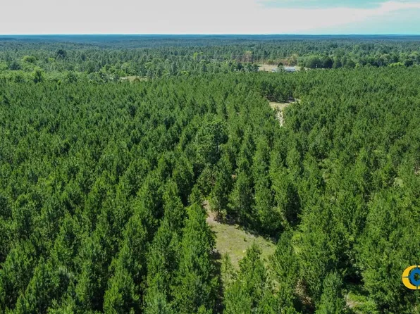 Montgomery Rd, Mauk, GA 31058