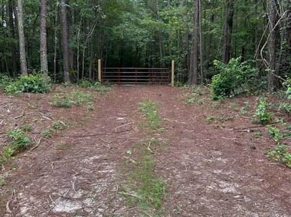 151 Rowe Rd, Senoia, GA 30276