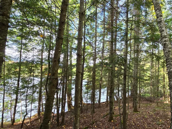 LOT 5 Bartsch Rd, Presque Isle, WI 54557