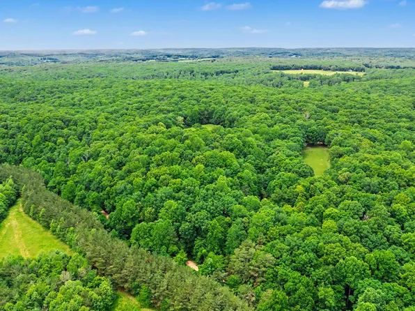 0 Little Hurricane Creek Rd, Mc Ewen, TN 37101