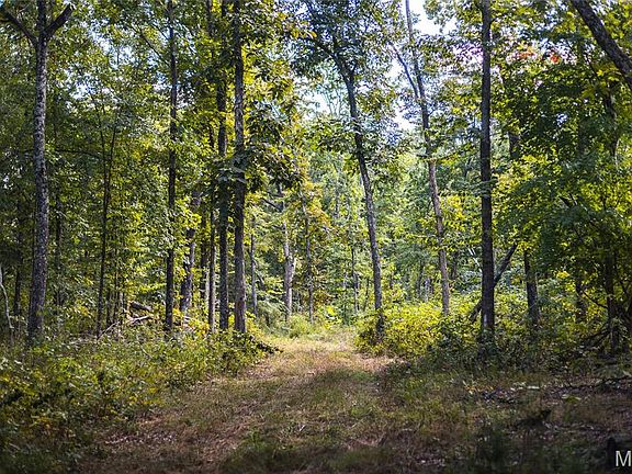 4th image of 5 Buck Mountain Rd