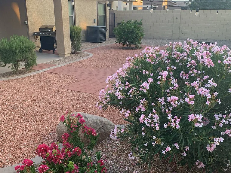 906 E Desert Rose Trl — Photo 25